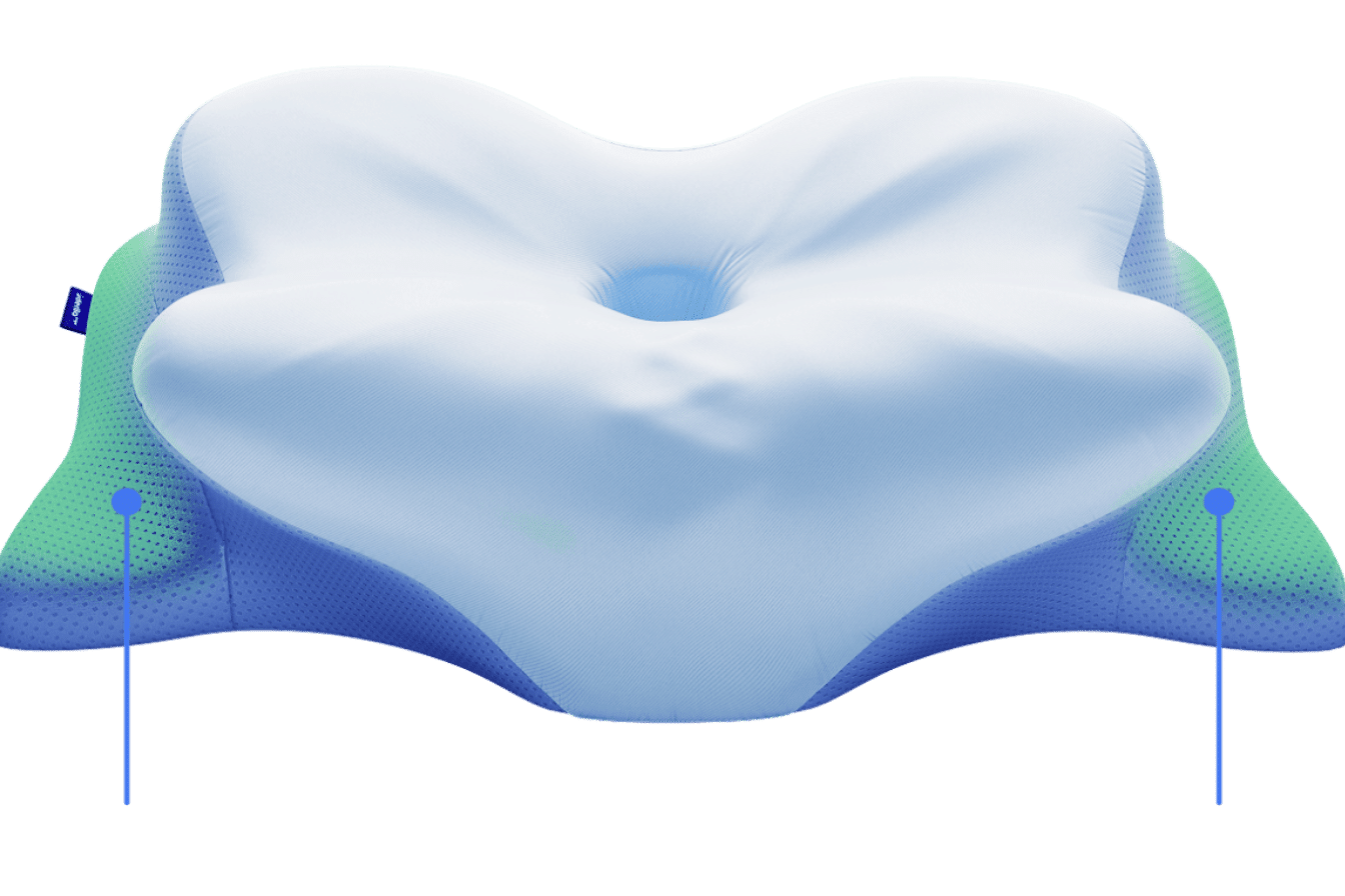 Oreiller Derila Ergo